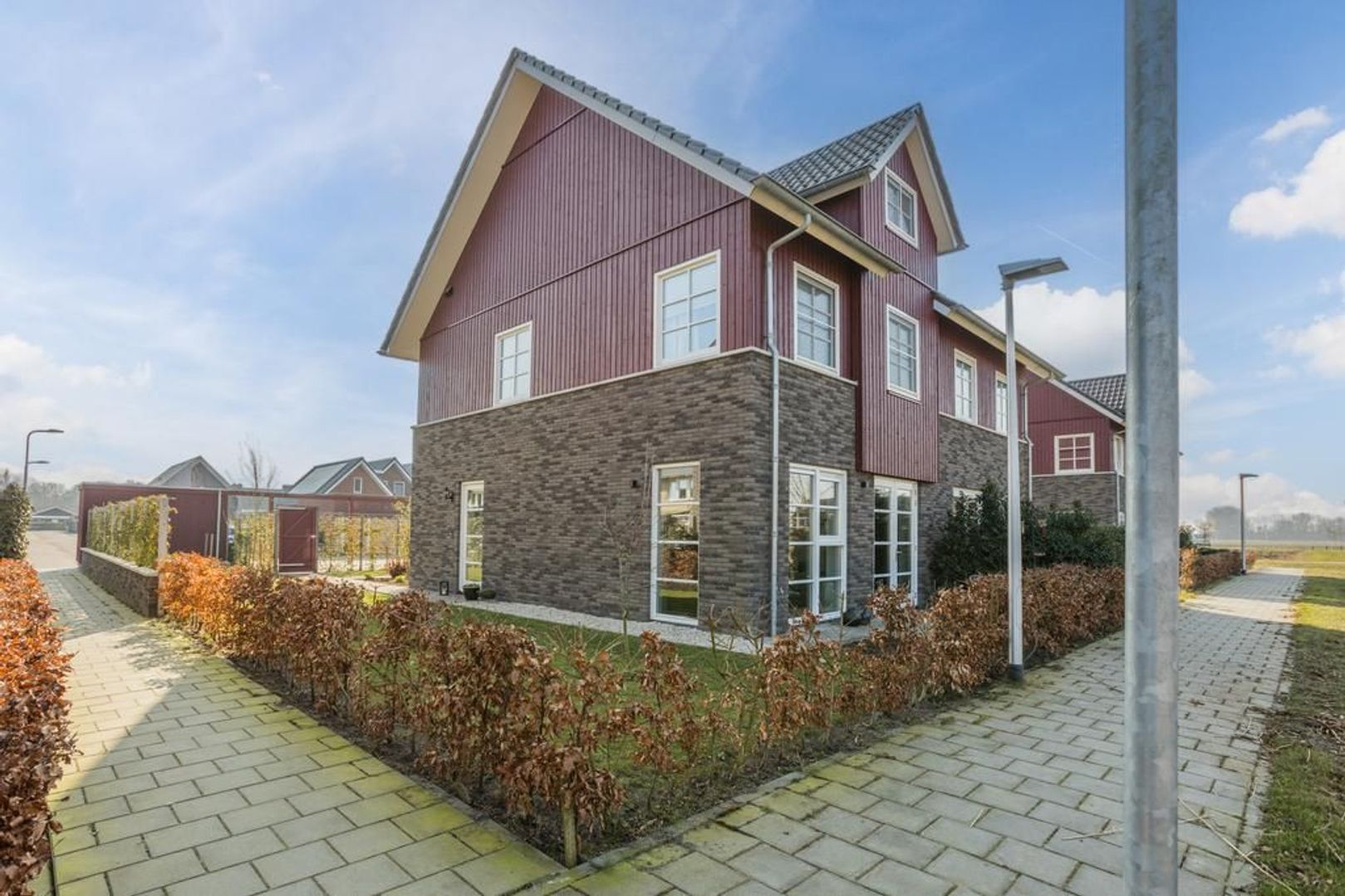 Witbolgras 14, Meppel foto-33 blur