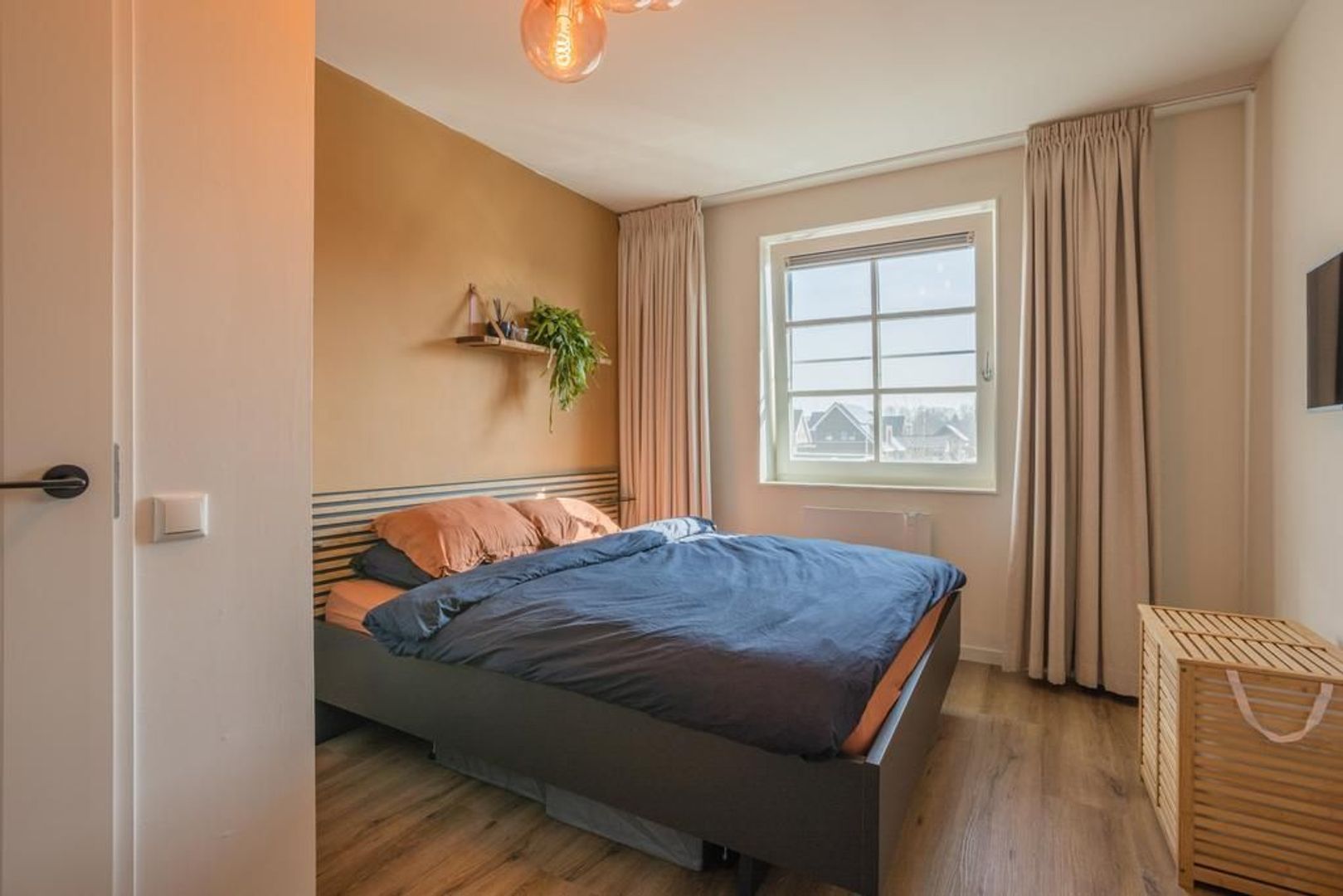 Witbolgras 14, Meppel foto-19 blur