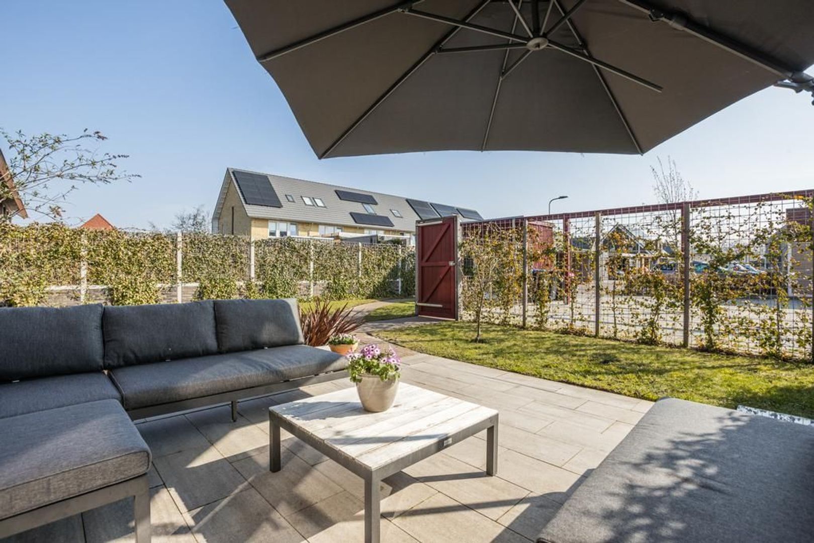 Witbolgras 14, Meppel foto-37 blur