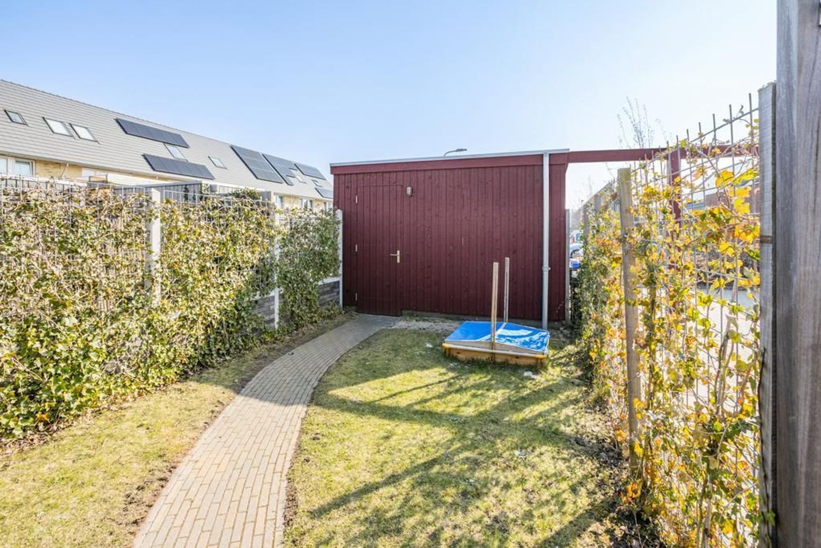 Witbolgras 14, Meppel foto-38 blur