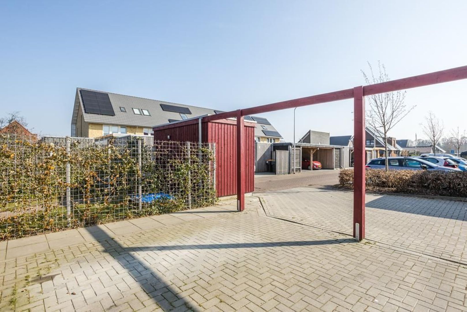 Witbolgras 14, Meppel foto-40 blur