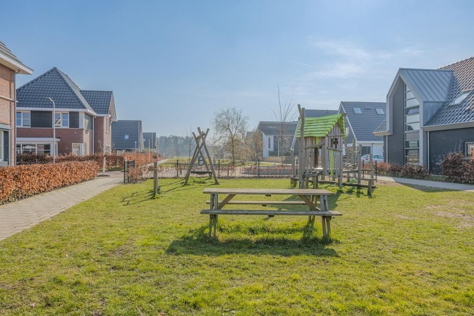 Witbolgras 14, Meppel foto-43 blur