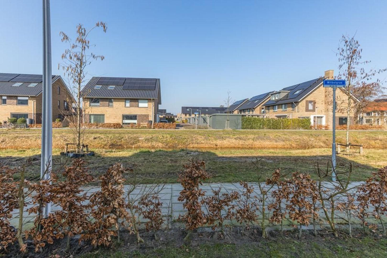 Witbolgras 14, Meppel foto-42 blur