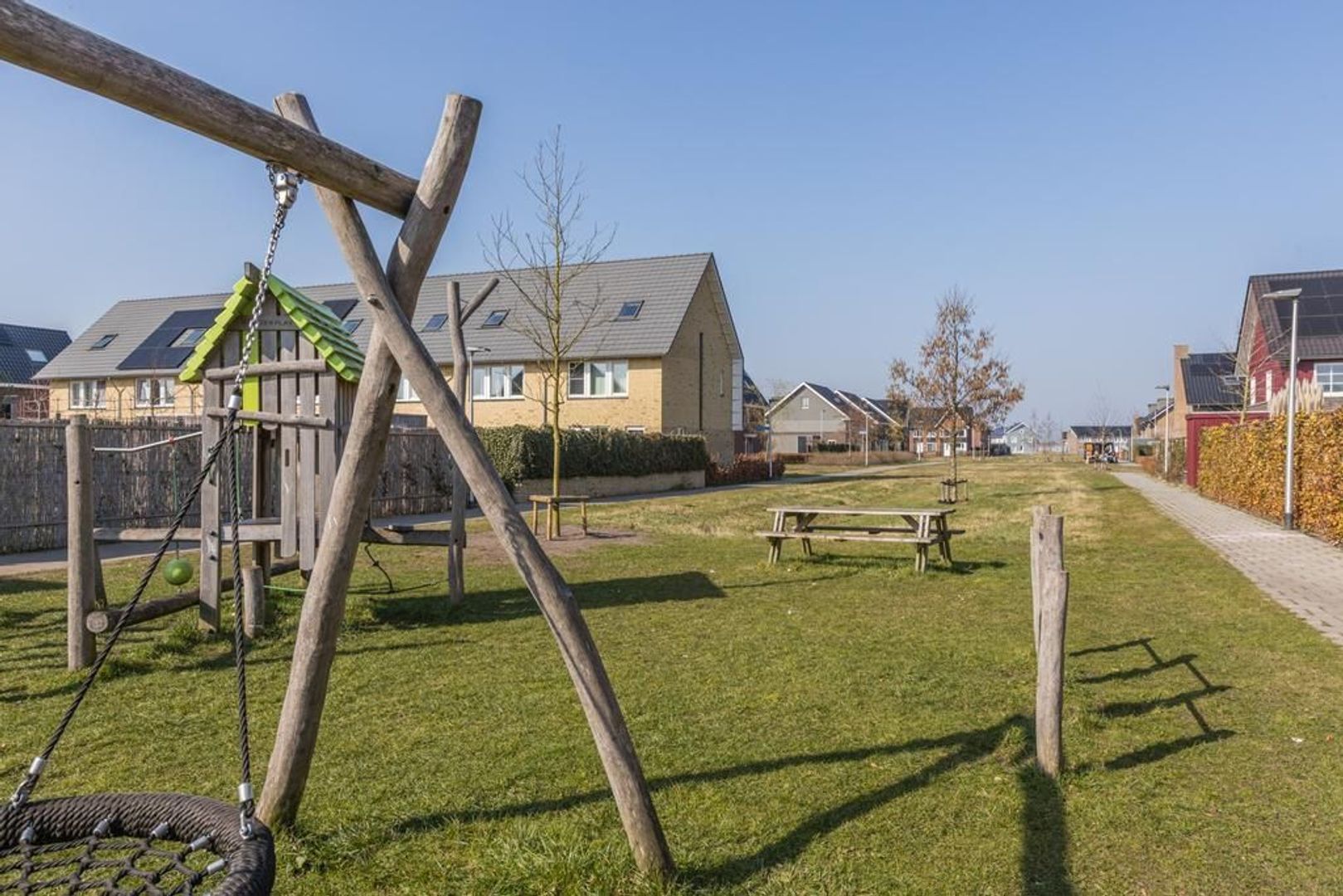 Witbolgras 14, Meppel foto-44 blur