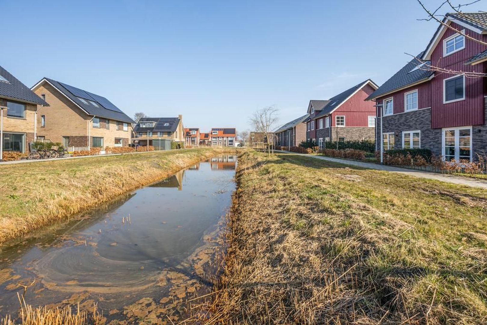 Witbolgras 14, Meppel foto-41 blur