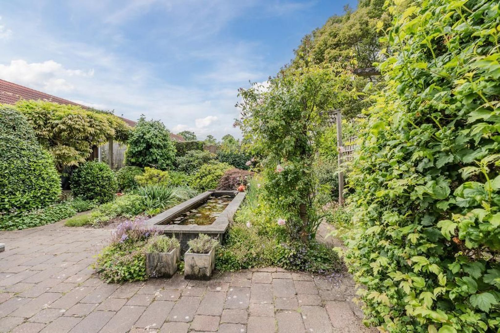 Kluft 134, Meppel foto-3 blur