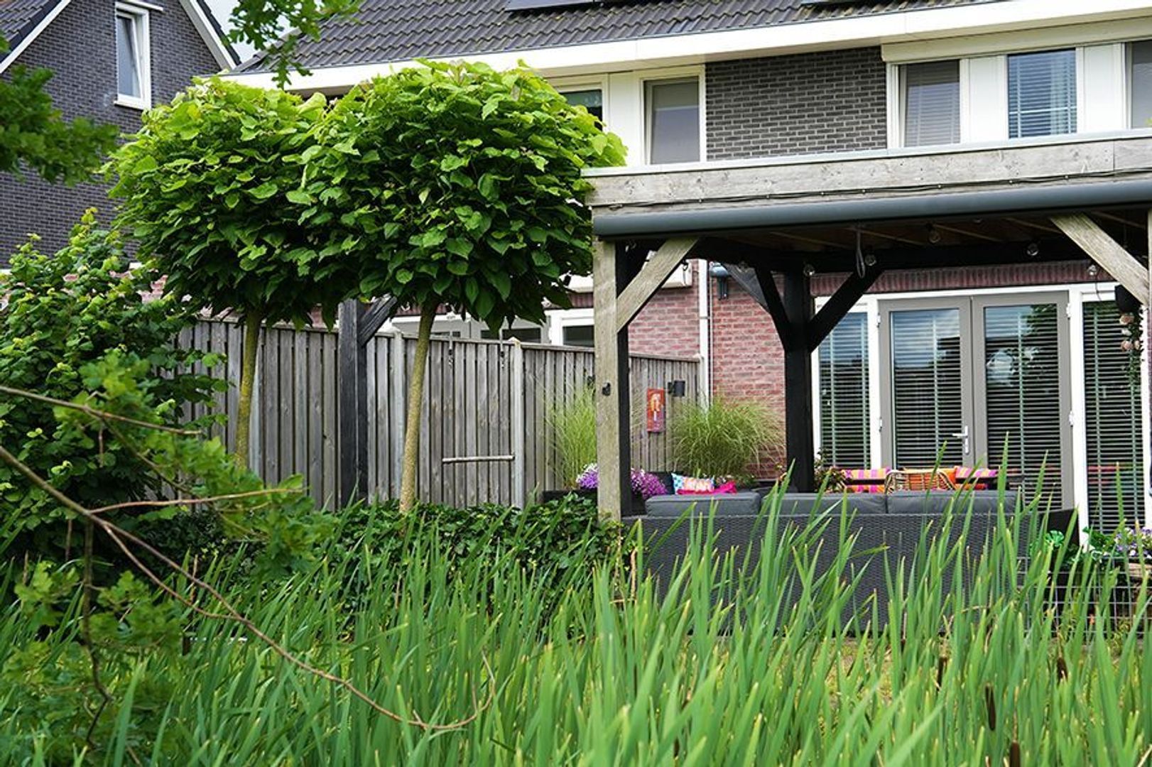 Buitenhof 17, Ruinerwold foto-14 blur