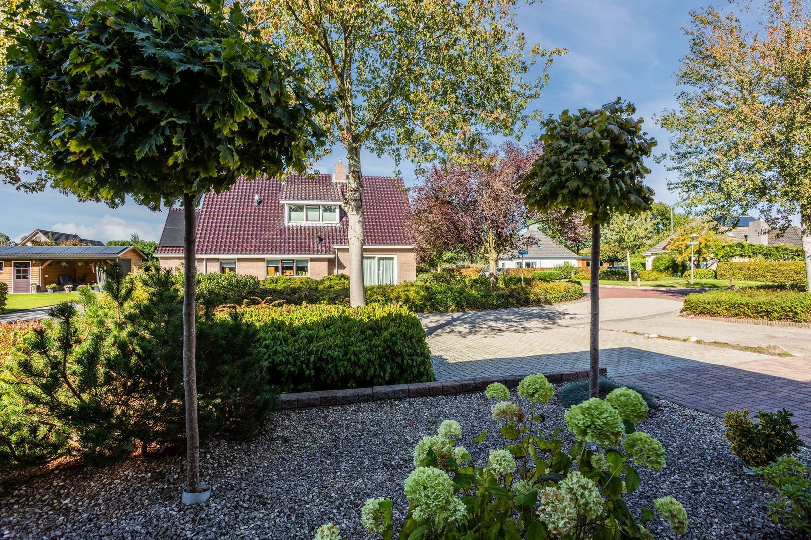 De Esdoorn 4, Koekange foto-32 blur