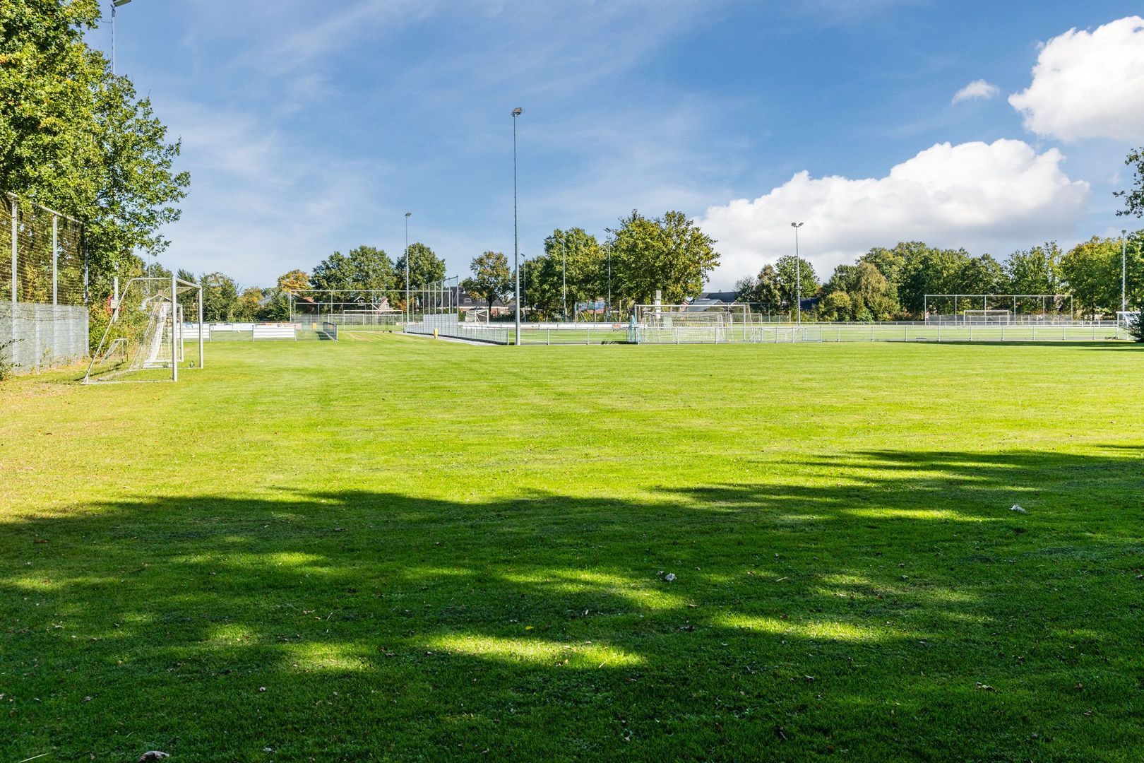 De Esdoorn 4, Koekange foto-34 blur