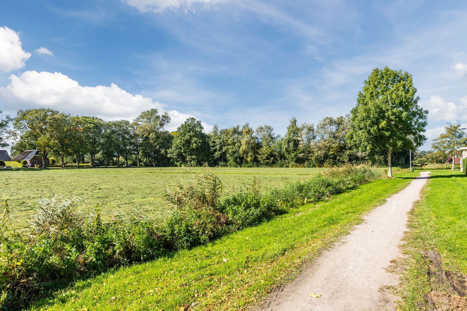 De Esdoorn 4, Koekange foto-35 blur