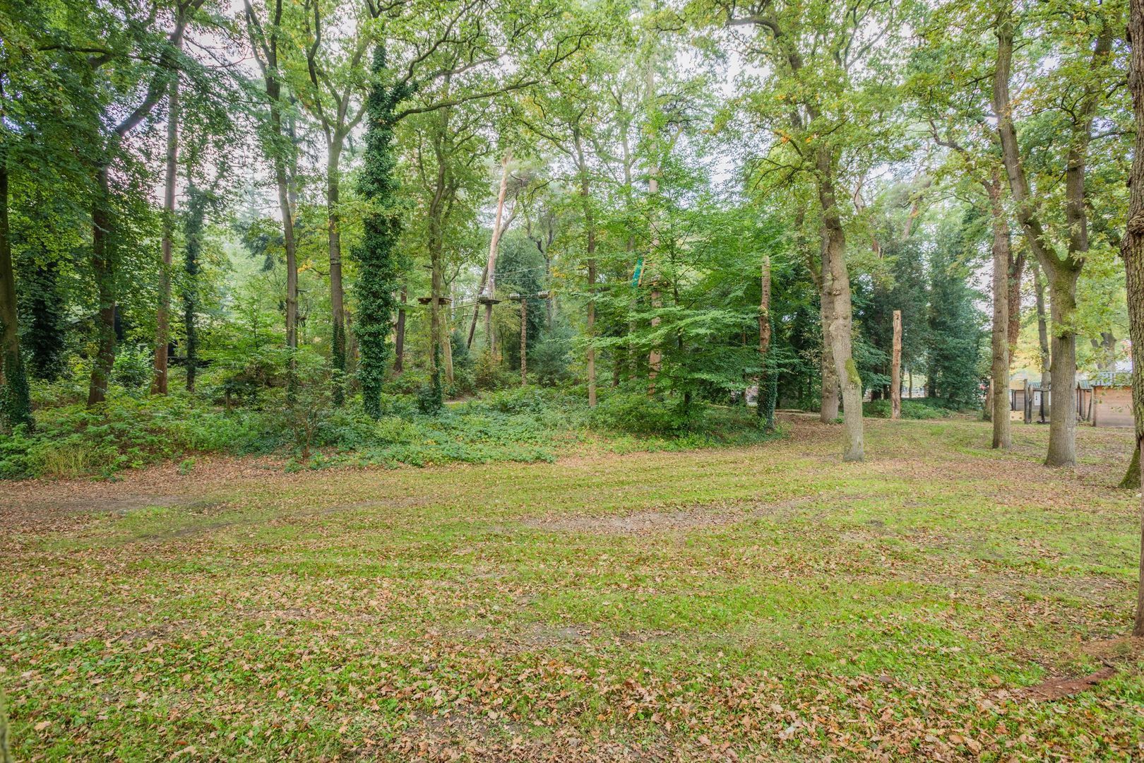 Van Emstweg 11, Appelscha foto-41 blur
