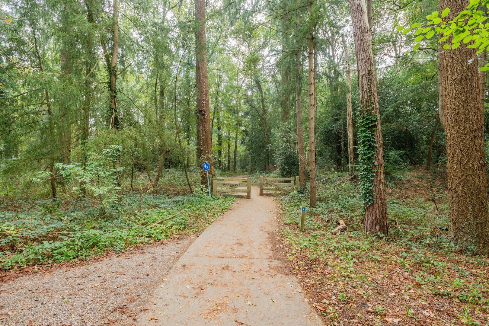 Van Emstweg 11, Appelscha foto-42 blur