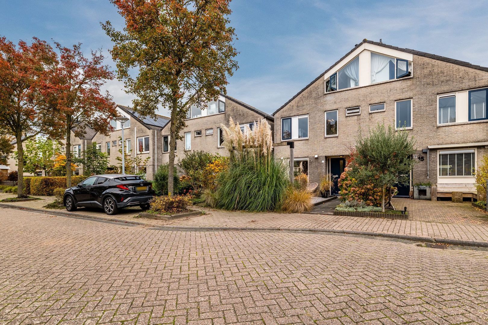 Parelmoervlinder 13, Meppel foto-26 blur