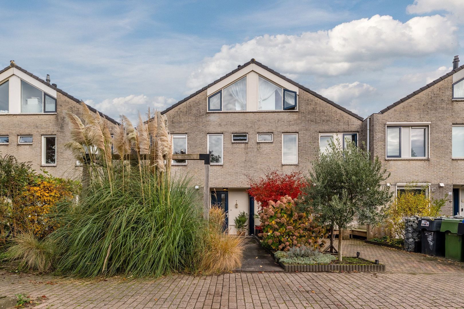 Parelmoervlinder 13, Meppel foto-0 blur