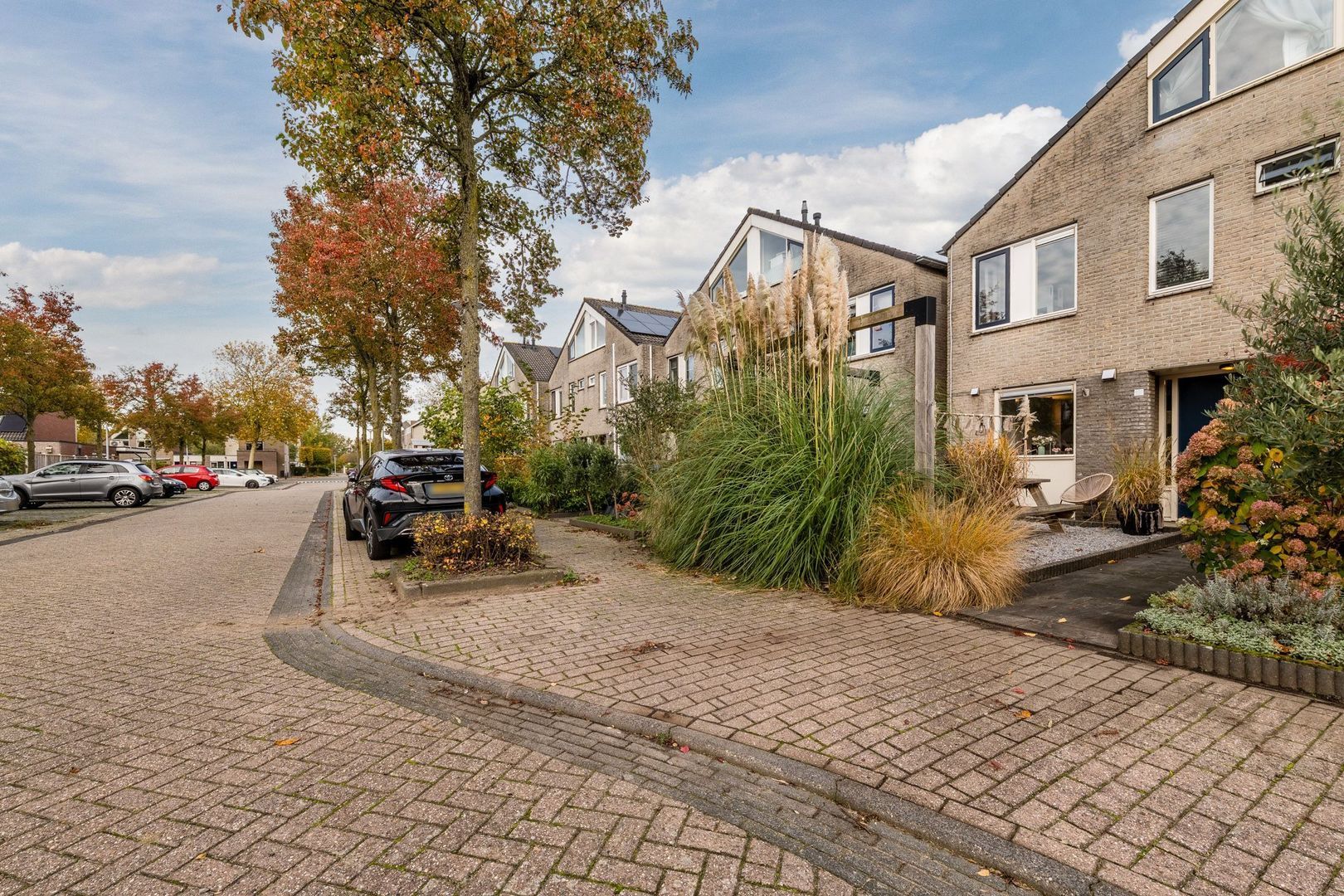 Parelmoervlinder 13, Meppel foto-27 blur