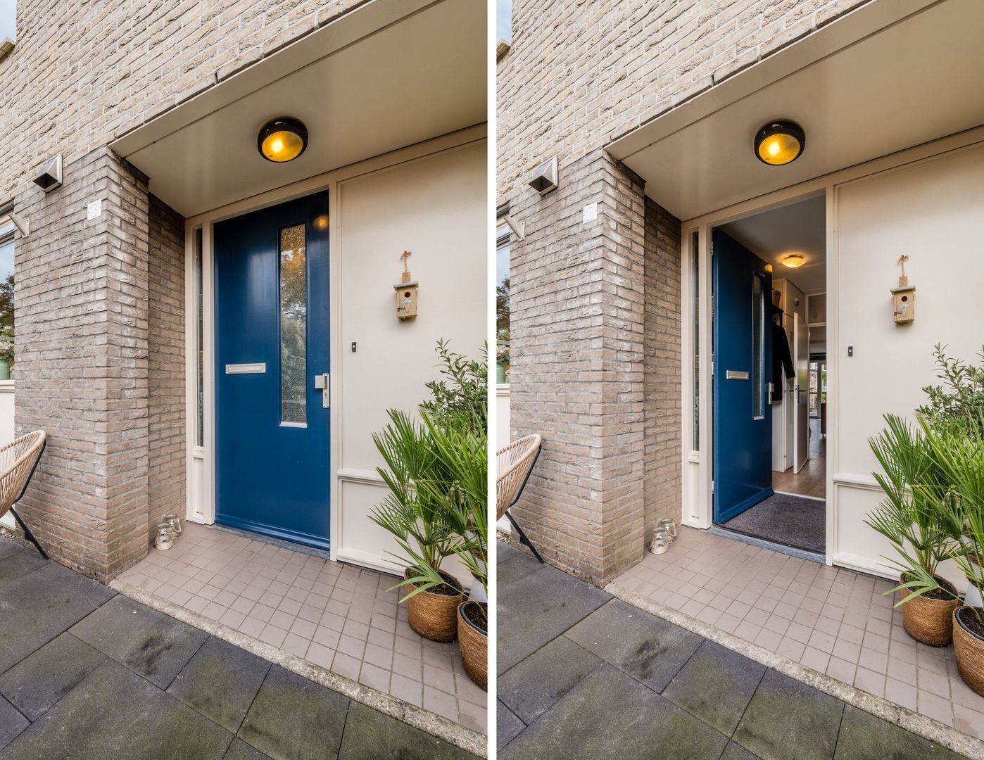 Parelmoervlinder 13, Meppel foto-29 blur