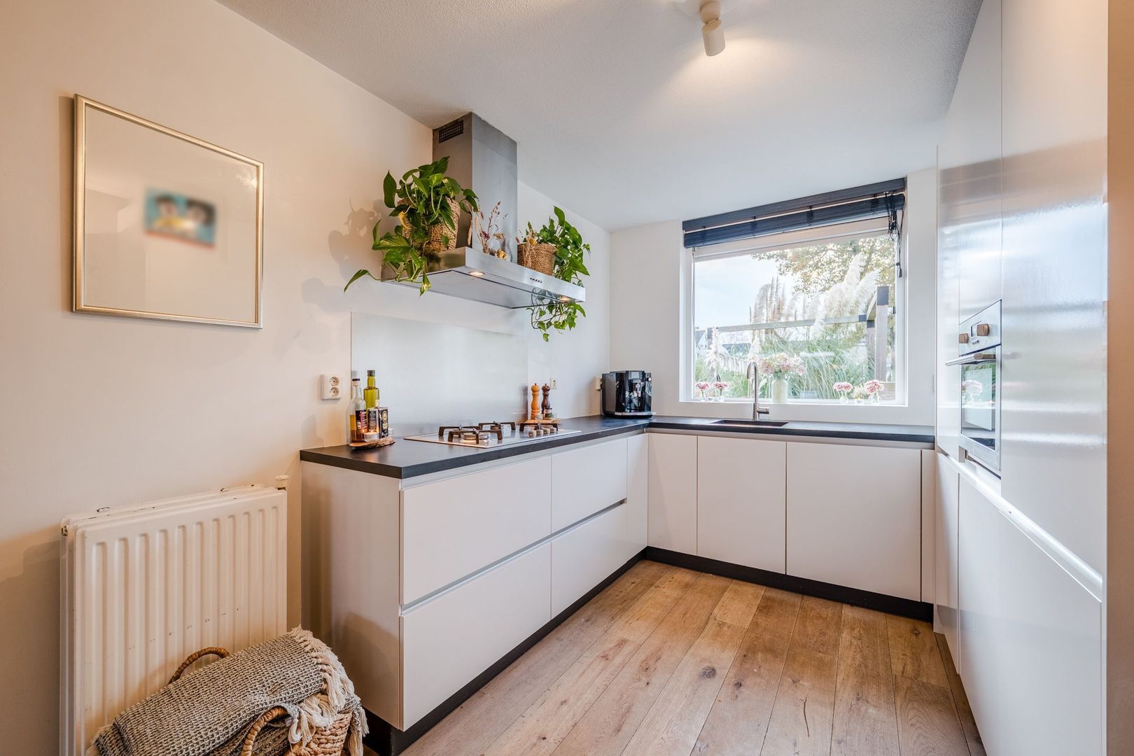 Parelmoervlinder 13, Meppel foto-9 blur