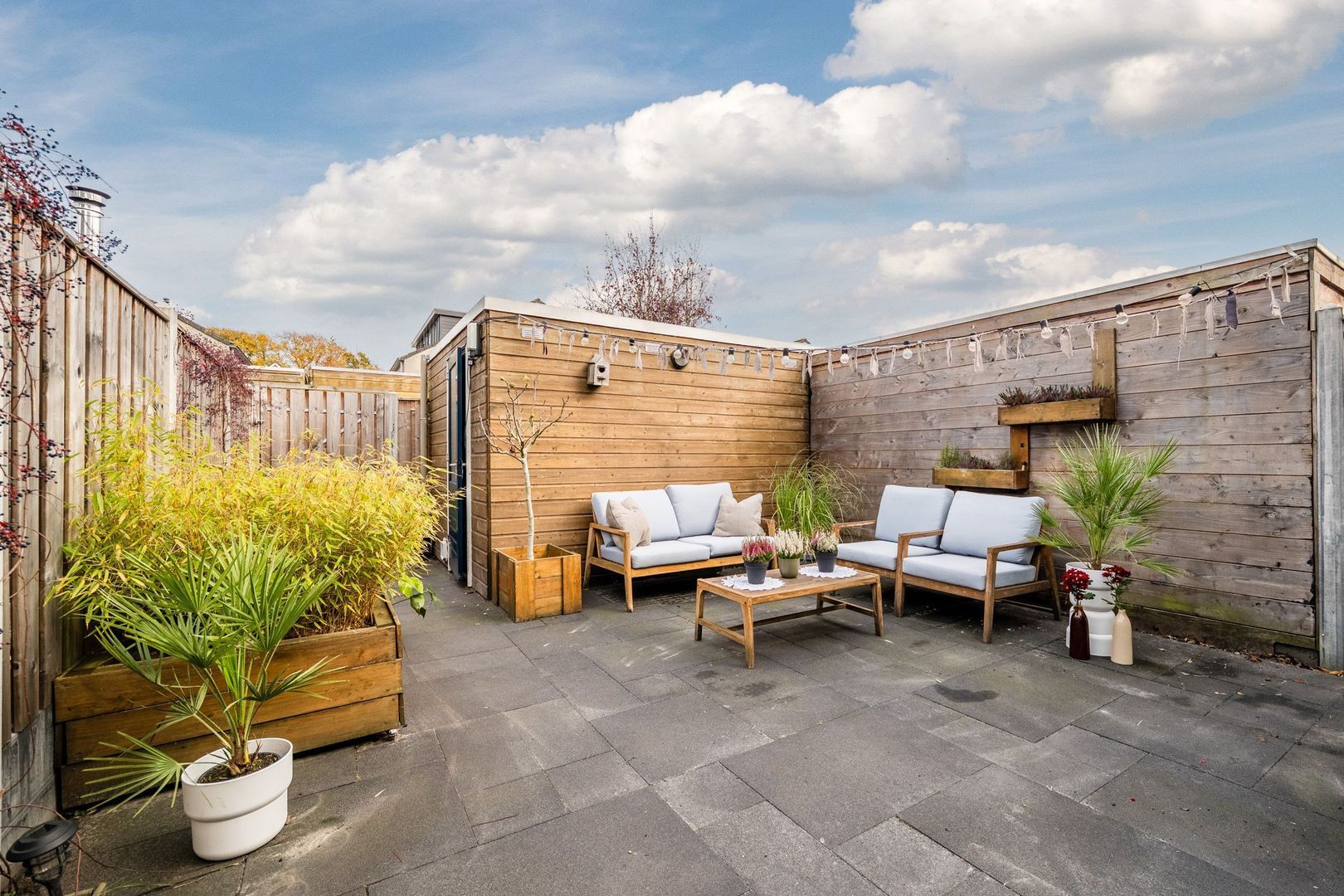 Parelmoervlinder 13, Meppel foto-32 blur