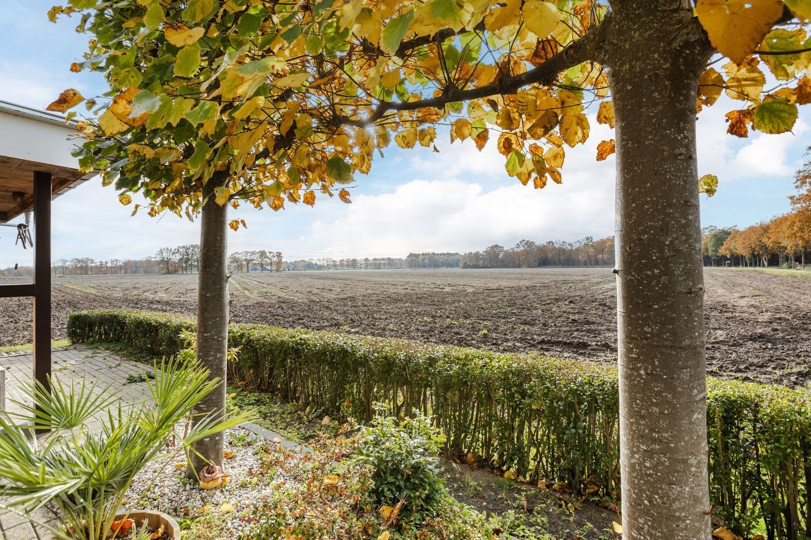 Schoonveldeweg 10, Koekange foto-52 blur