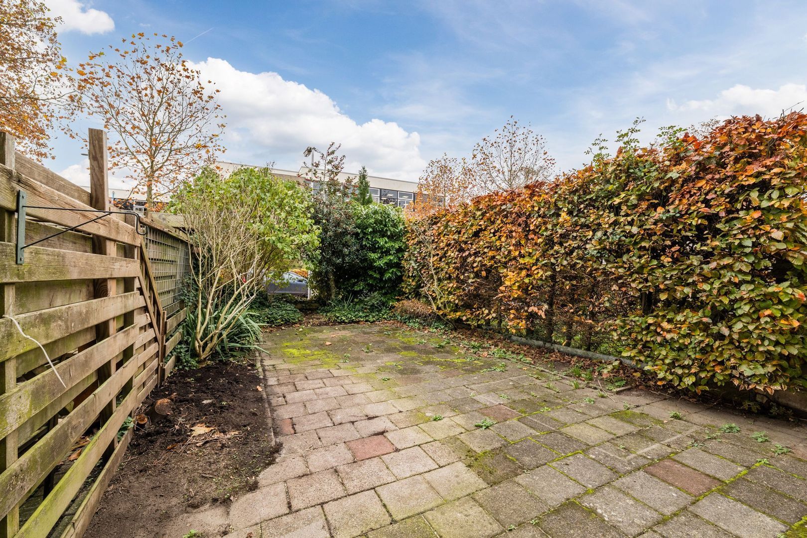 Hercules Segherslaan 40, Meppel foto-25 blur