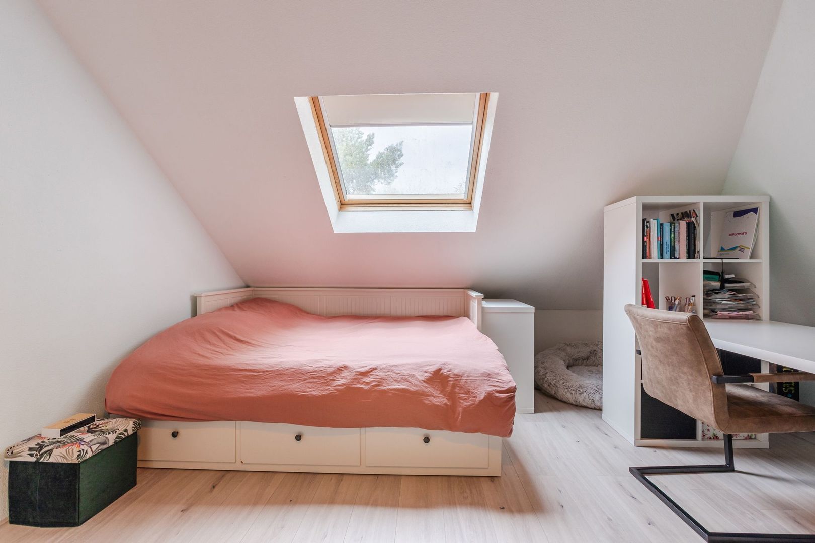 Achterslagen 30, Steenwijk foto-31 blur