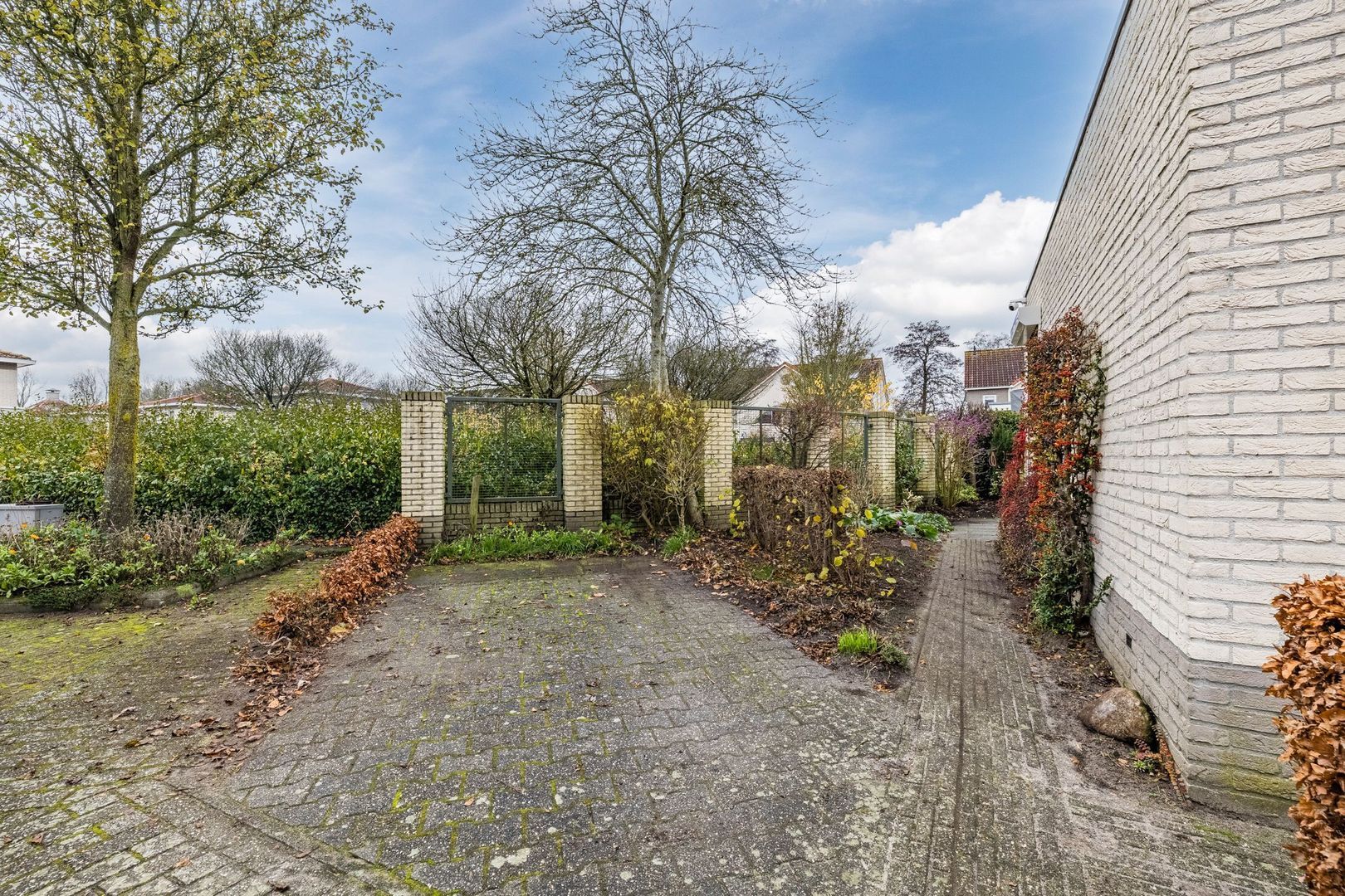 Tauvlinder 18, Meppel foto-26 blur