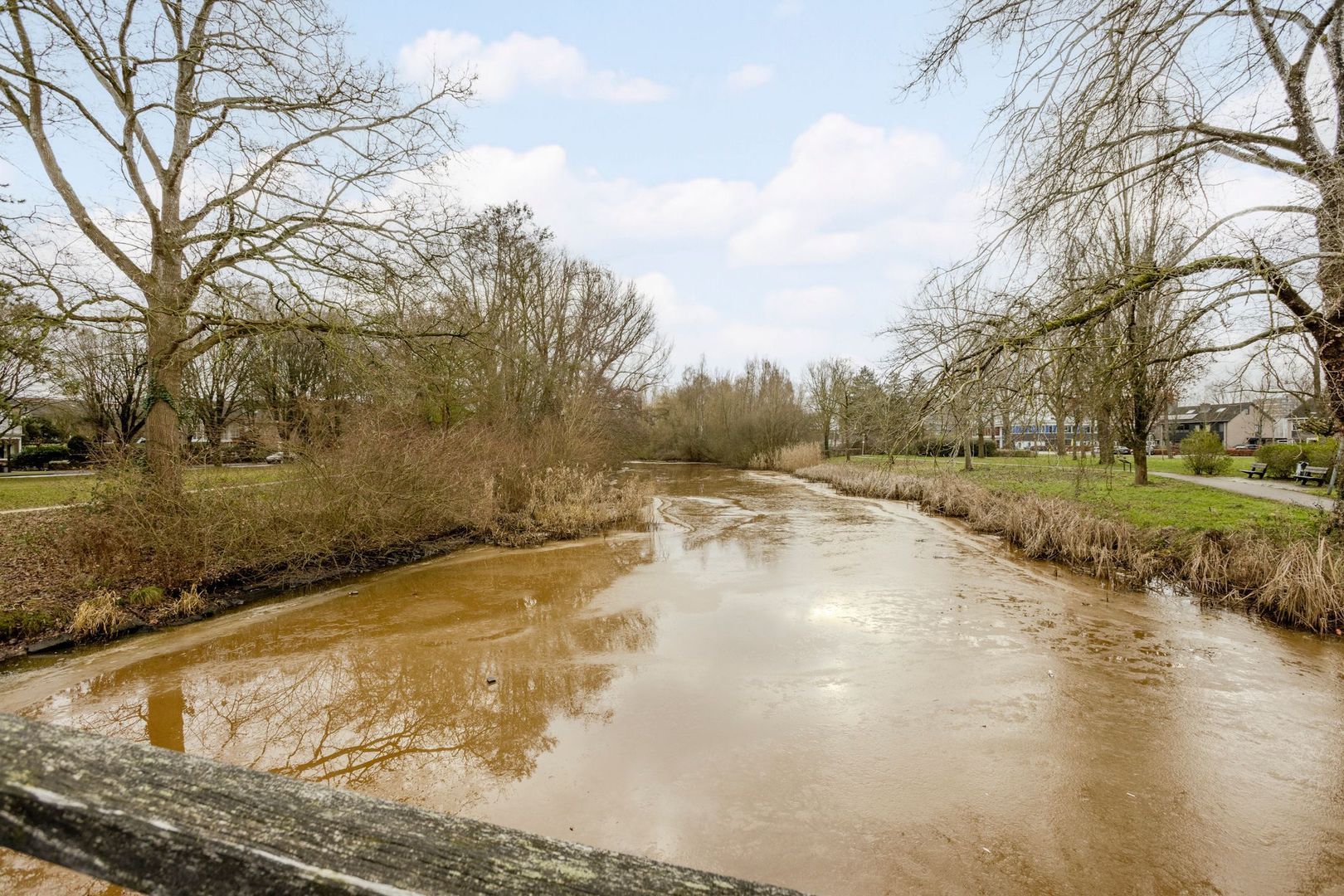 Prinses Margrietlaan 4, Meppel foto-42 blur