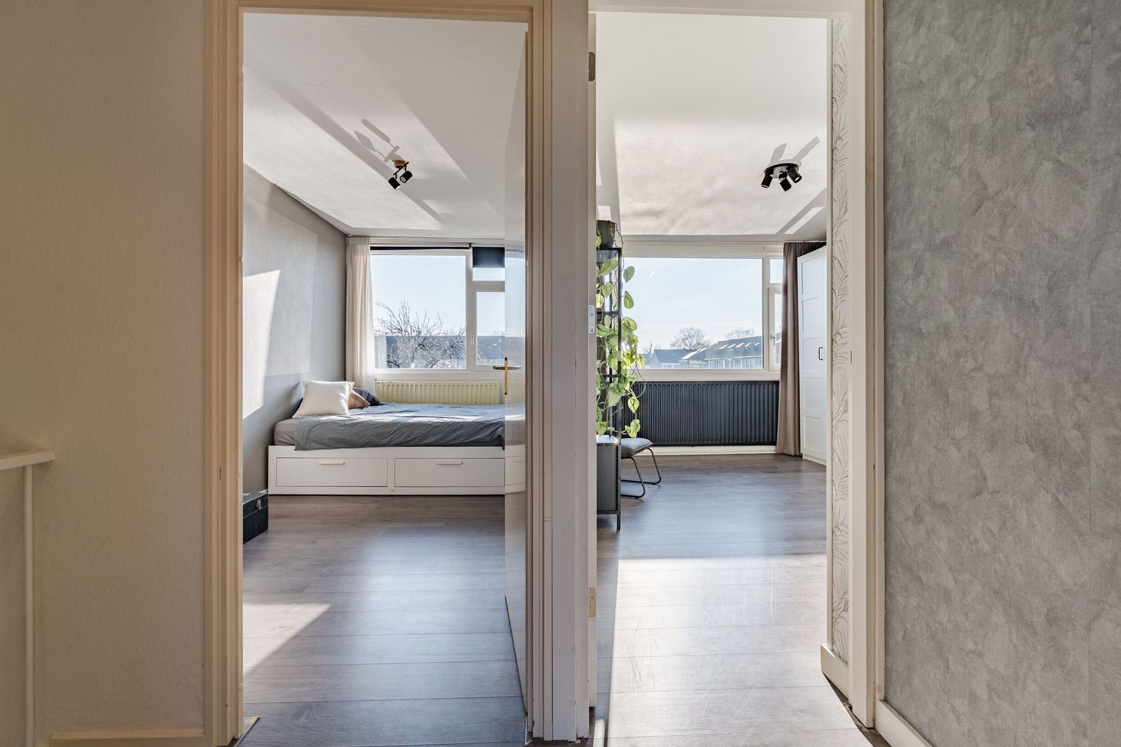 Nicolaes Maesstraat 41, Meppel foto-23 blur