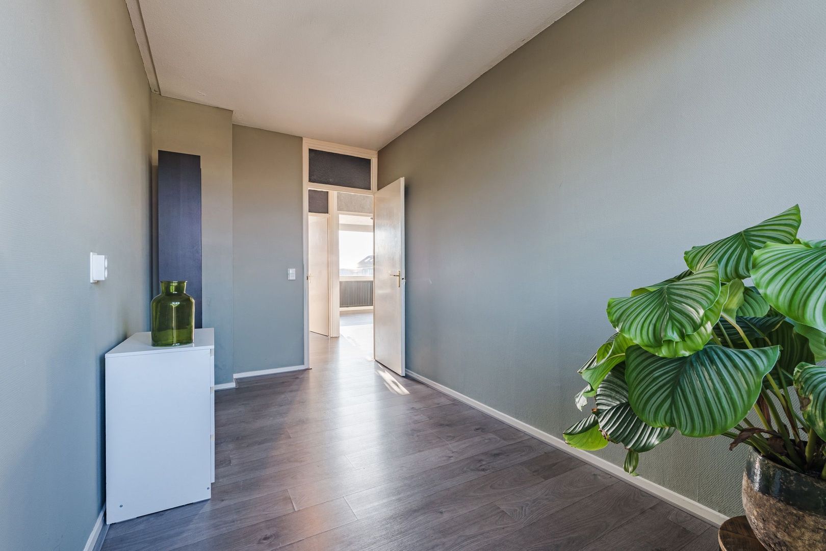 Nicolaes Maesstraat 41, Meppel foto-31 blur