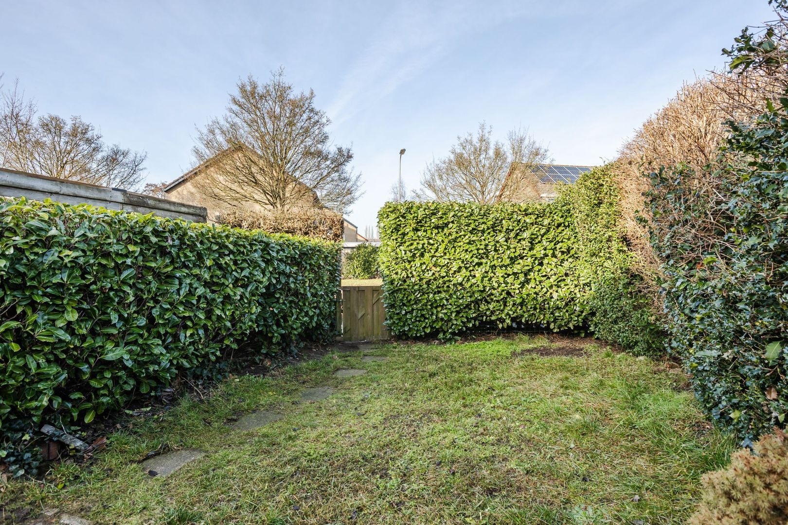 Hendrik Goltziusstraat 28, Meppel foto-32 blur