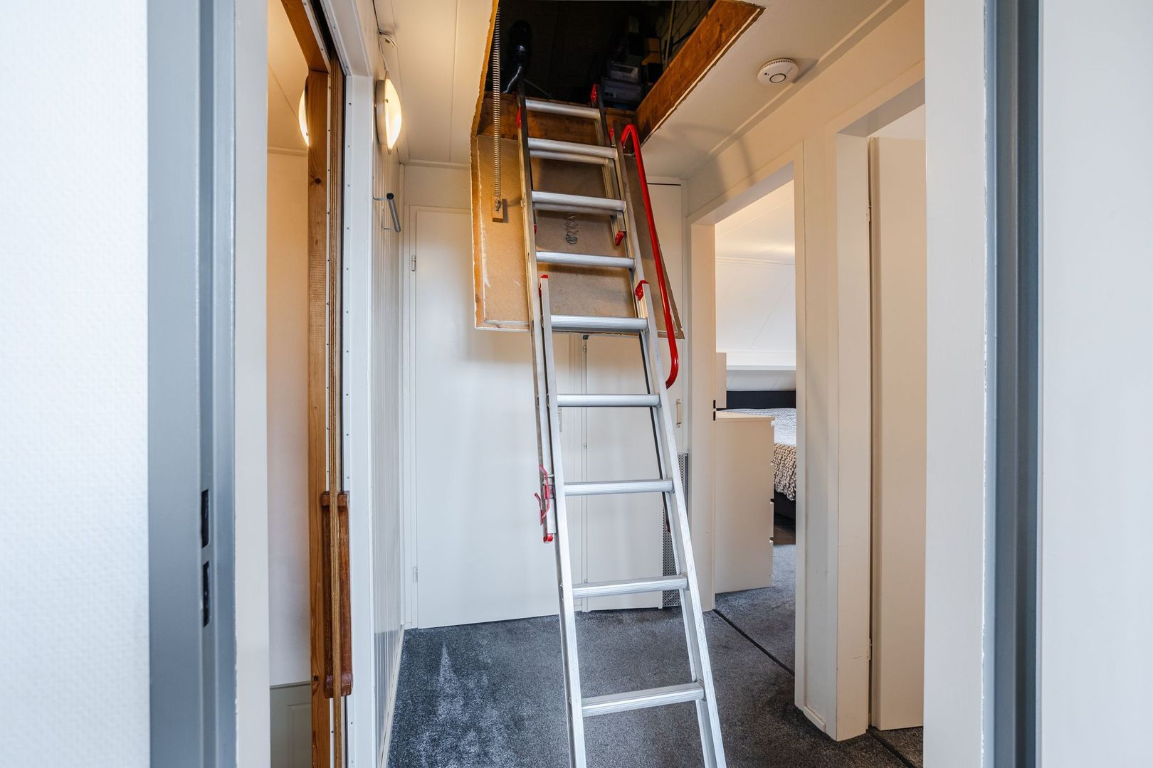 Patrijslaan 11, Ruinerwold foto-26 blur