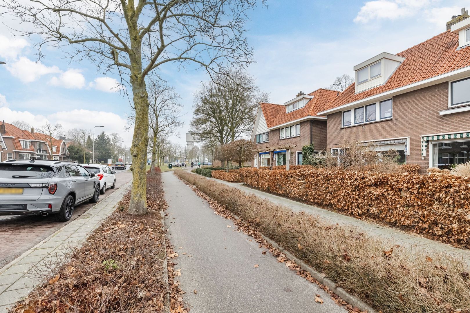 Steenwijkerstraatweg 32, Meppel foto-35 blur