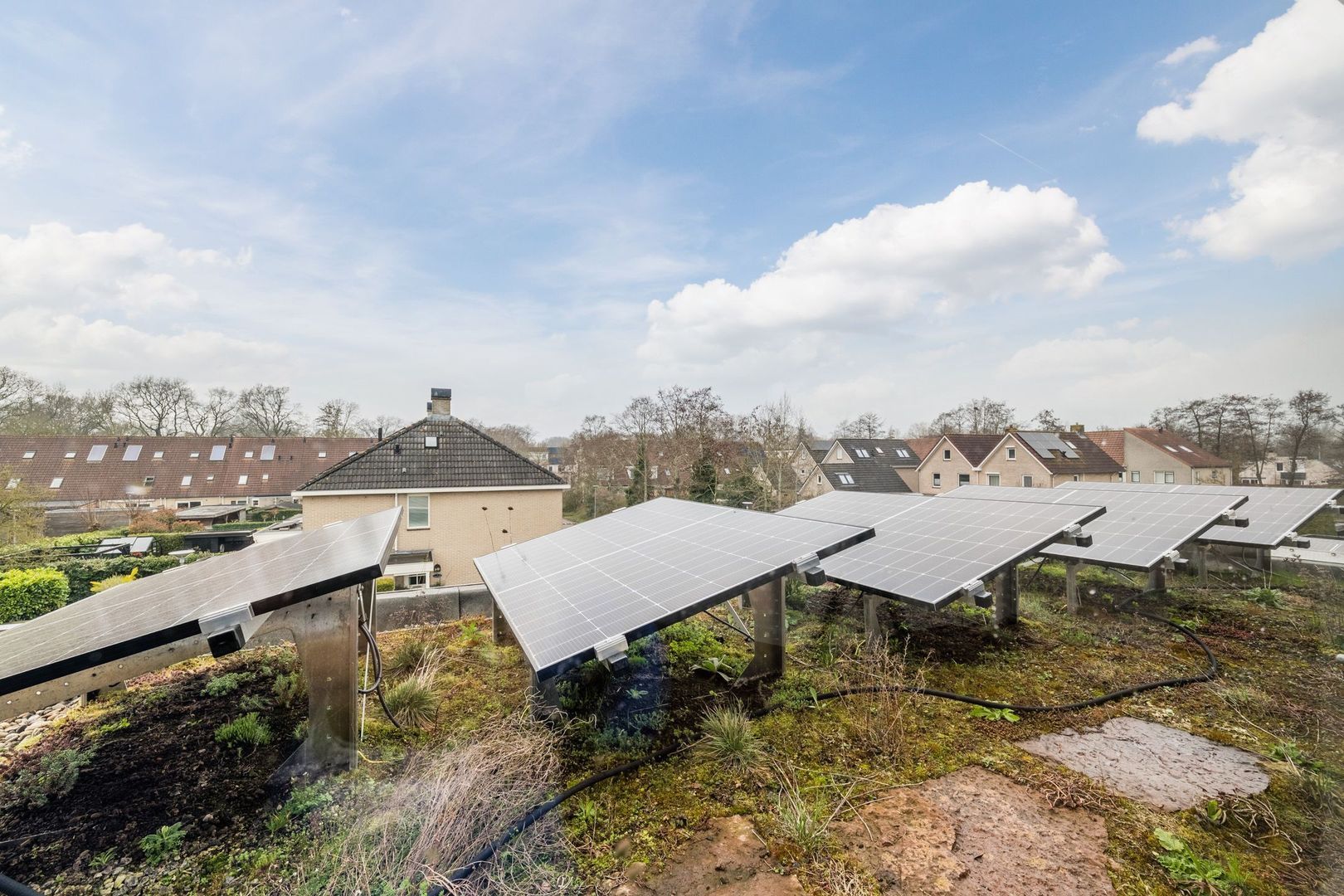 Torenvalk 14, Meppel foto-29 blur