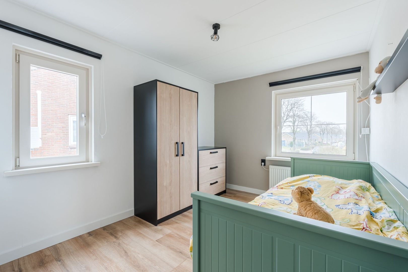 Buddingerstraat 38, Ruinerwold foto-15 blur