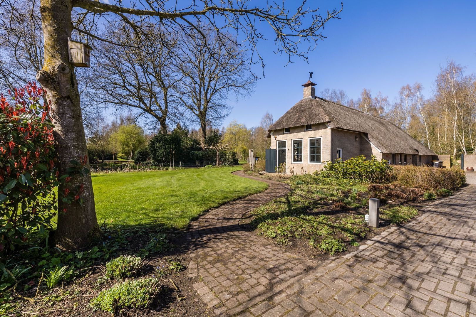 Ruinerweg 39, Koekange foto-48 blur