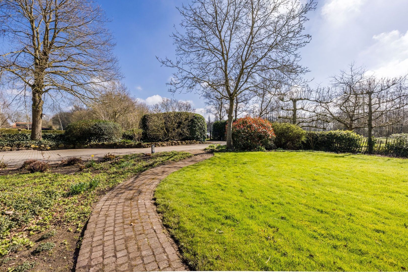 Ruinerweg 39, Koekange foto-61 blur