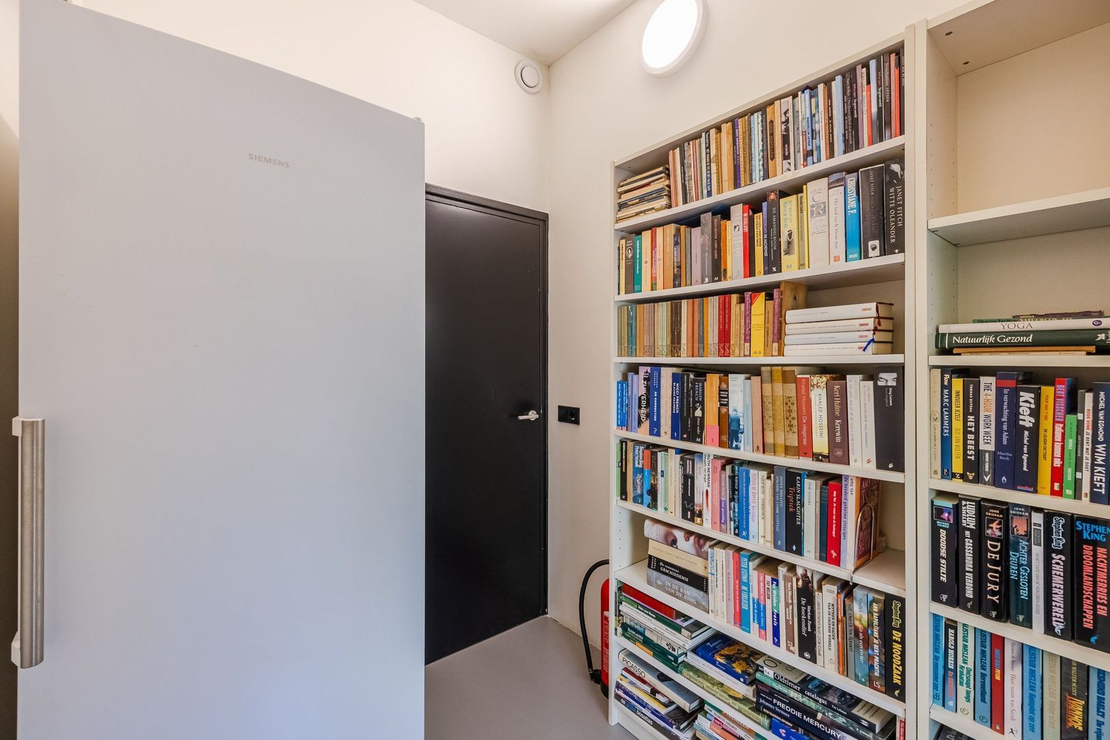 Ruinerweg 39, Koekange foto-31 blur