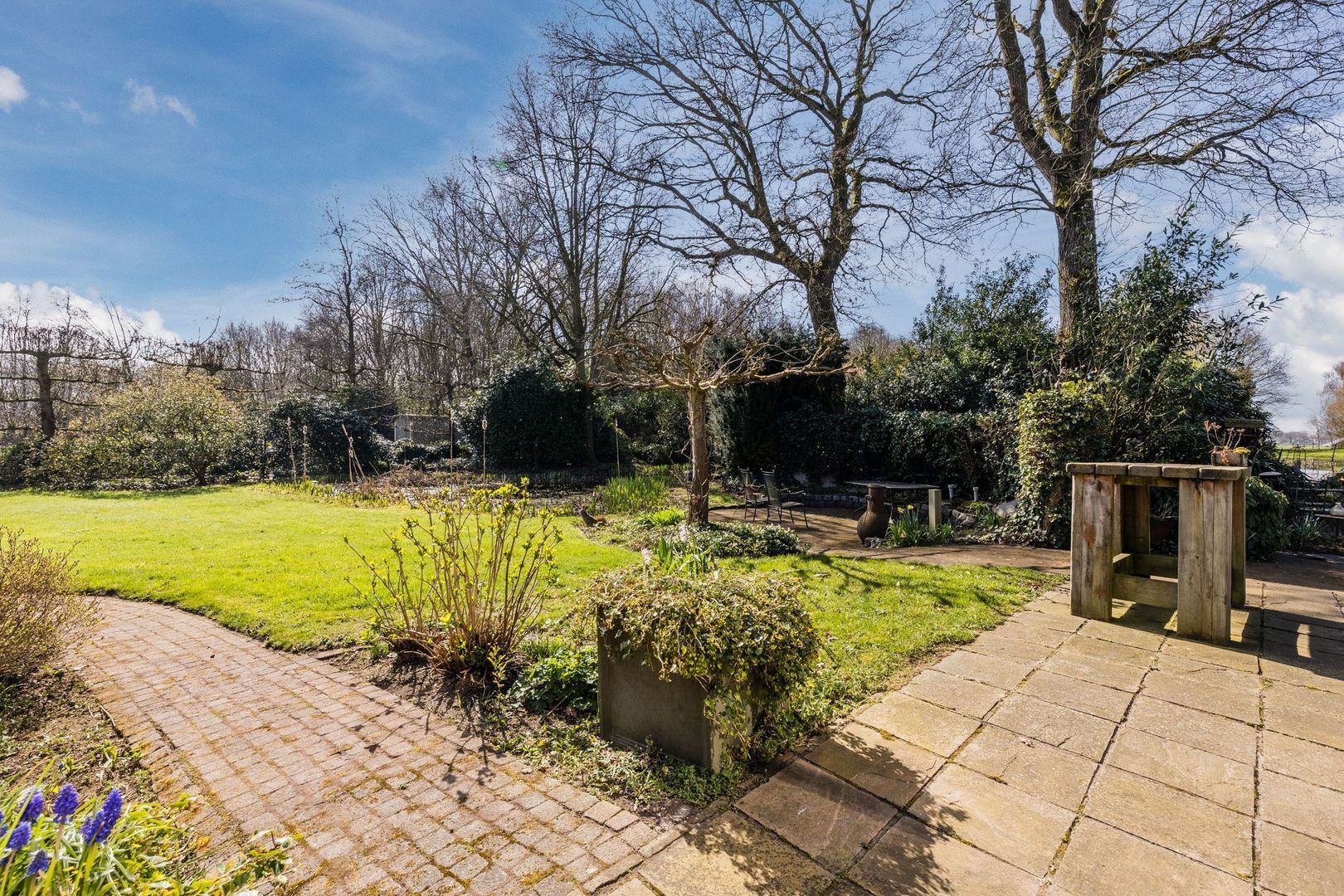 Ruinerweg 39, Koekange foto-62 blur