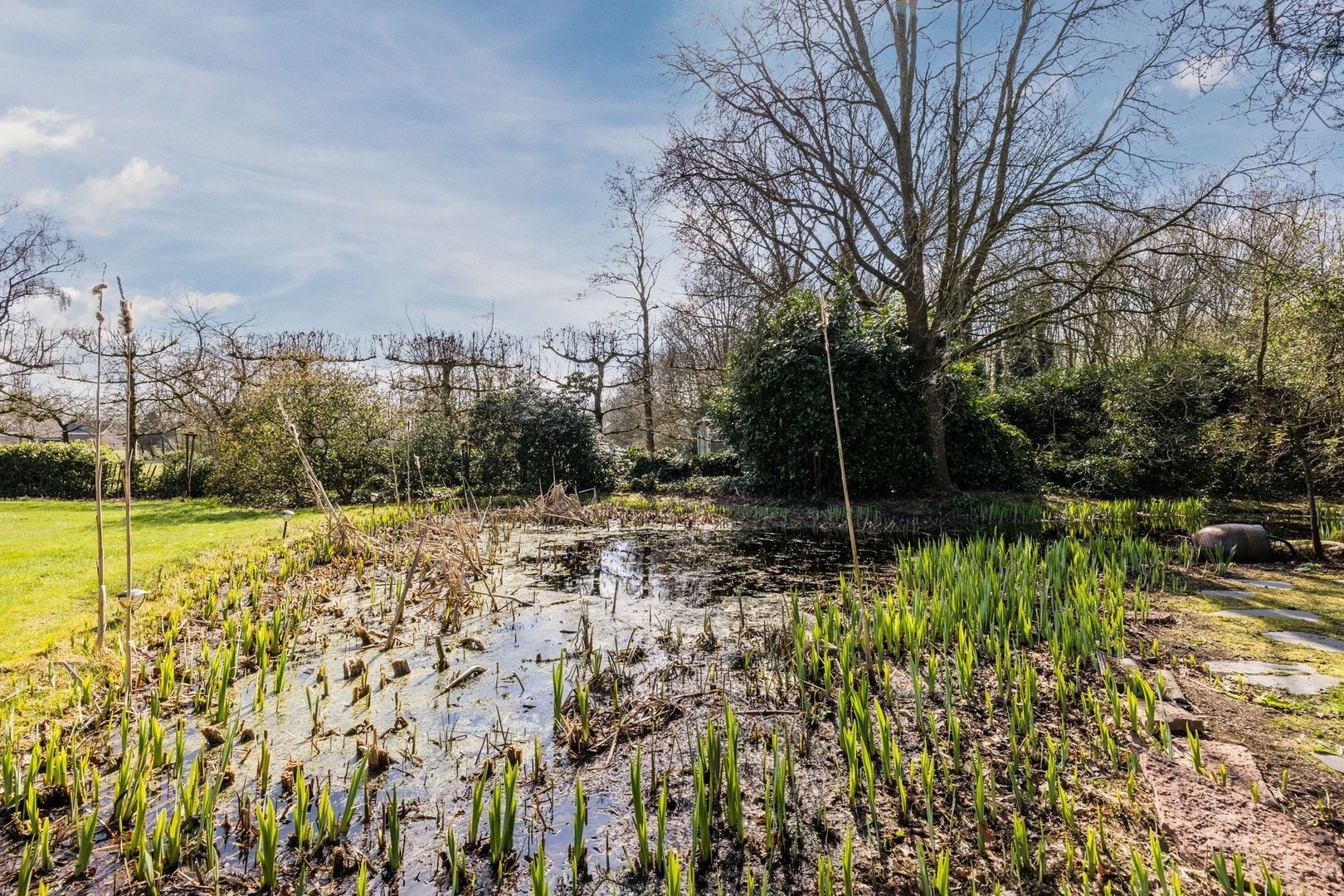 Ruinerweg 39, Koekange foto-63 blur