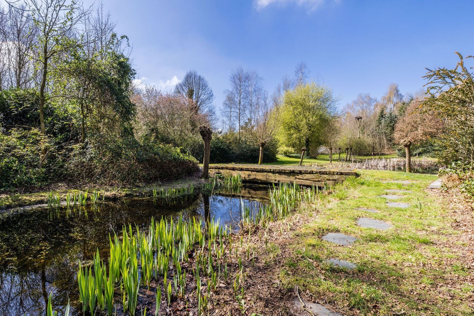 Ruinerweg 39, Koekange foto-64 blur