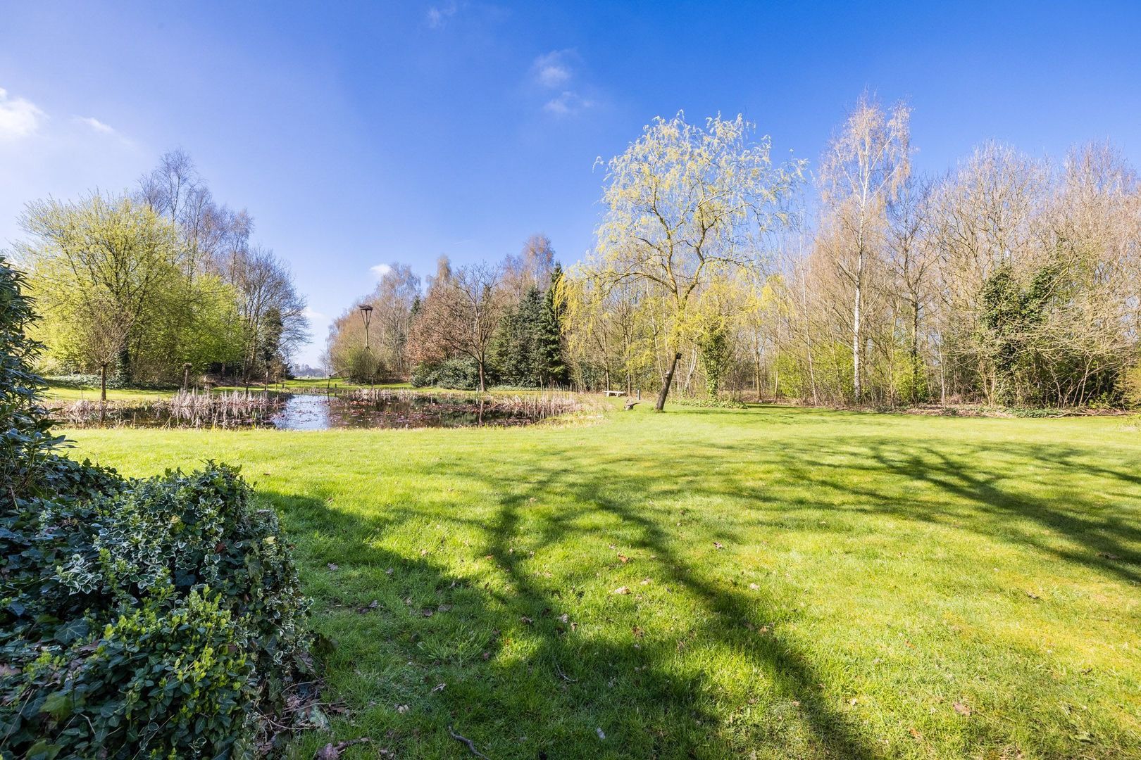 Ruinerweg 39, Koekange foto-66 blur