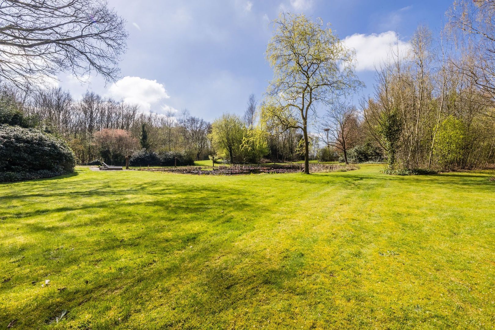 Ruinerweg 39, Koekange foto-67 blur