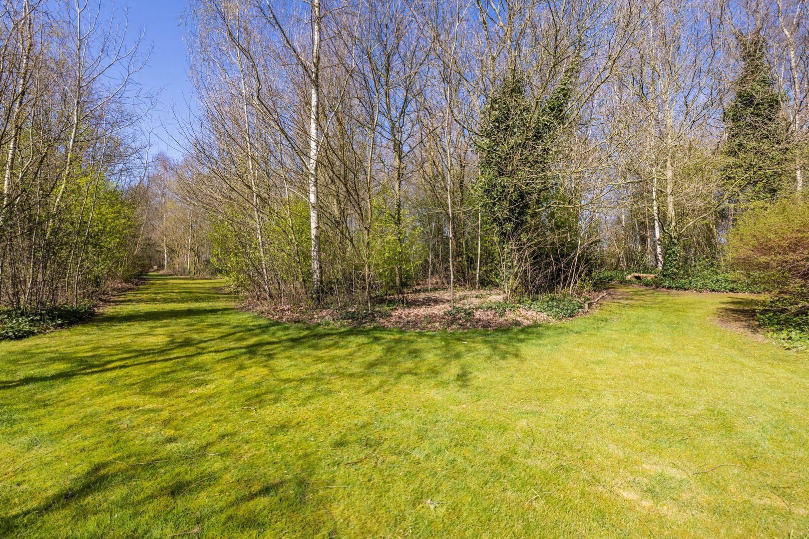 Ruinerweg 39, Koekange foto-68 blur