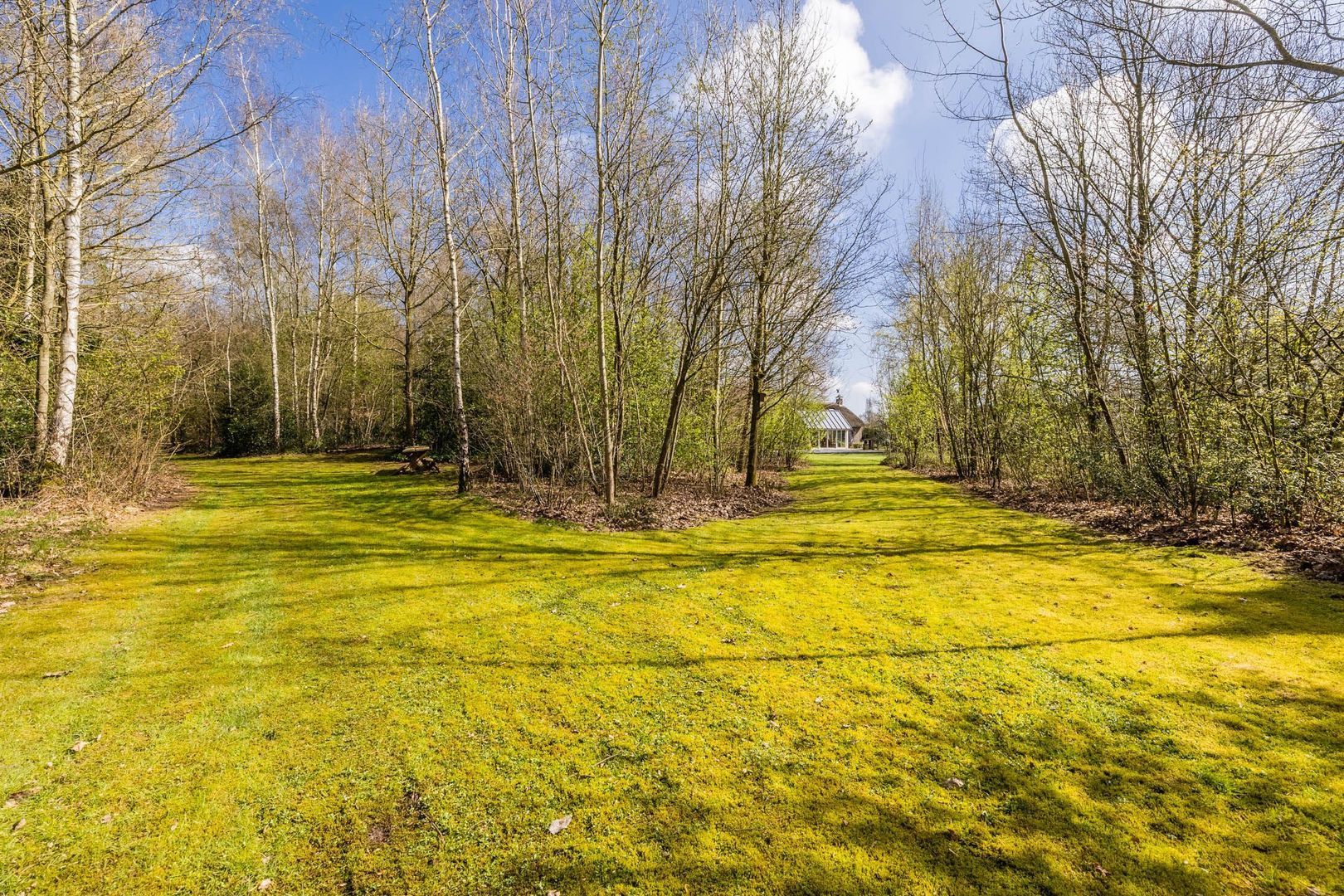 Ruinerweg 39, Koekange foto-69 blur