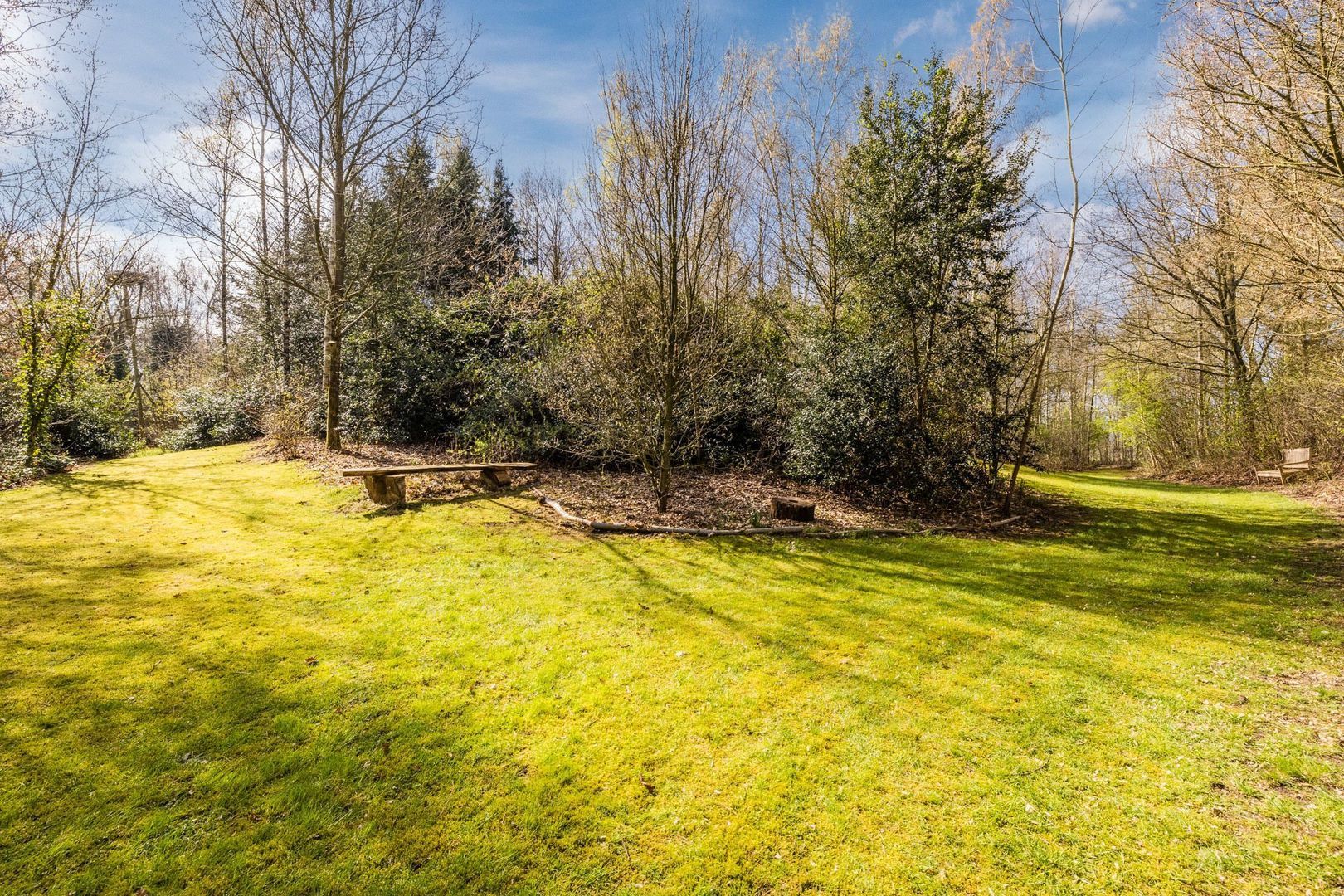 Ruinerweg 39, Koekange foto-70 blur