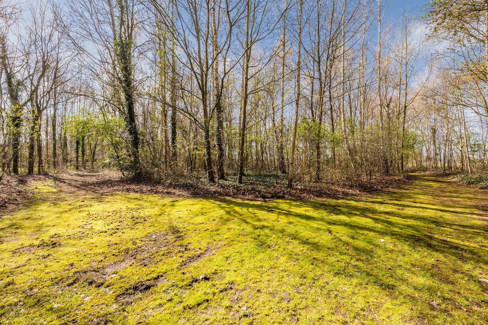 Ruinerweg 39, Koekange foto-71 blur