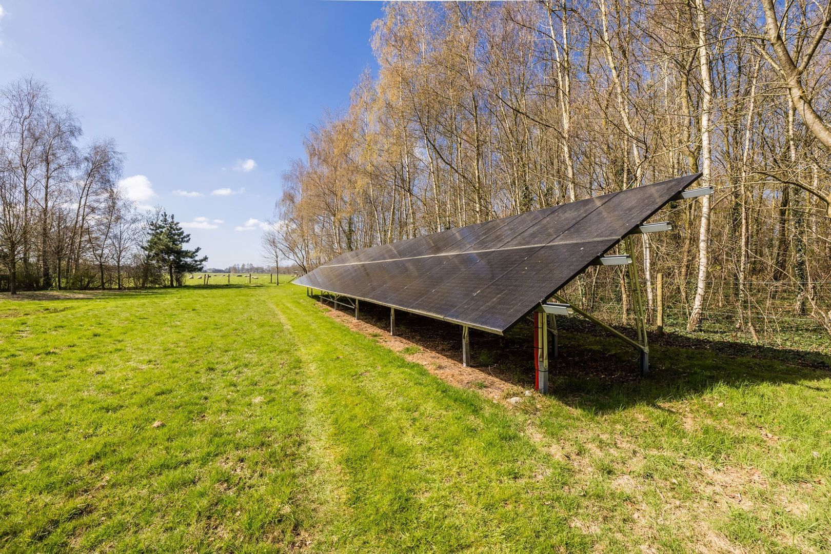 Ruinerweg 39, Koekange foto-74 blur