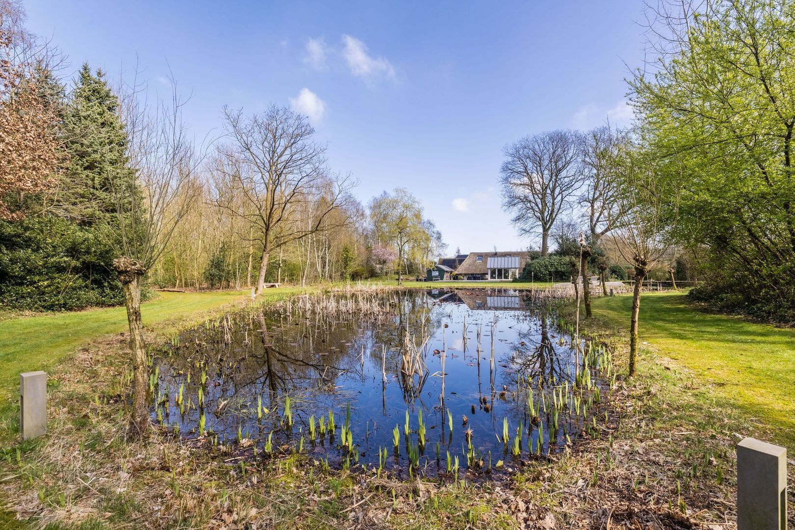 Ruinerweg 39, Koekange foto-75 blur