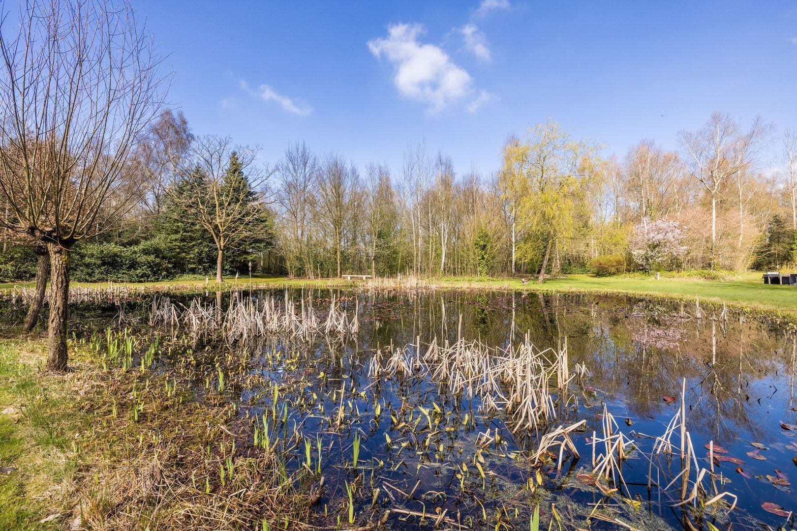 Ruinerweg 39, Koekange foto-76 blur