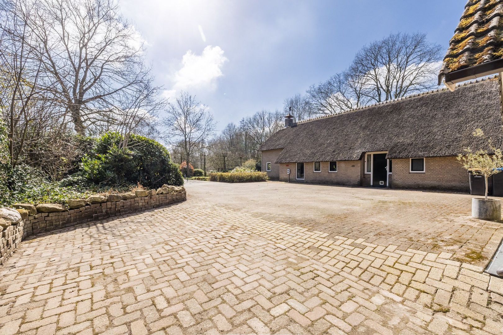 Ruinerweg 39, Koekange foto-51 blur